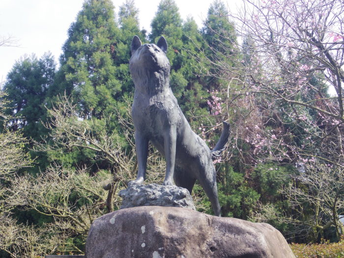 西郷隆盛愛犬ツンの銅像（薩摩川内市・東郷）